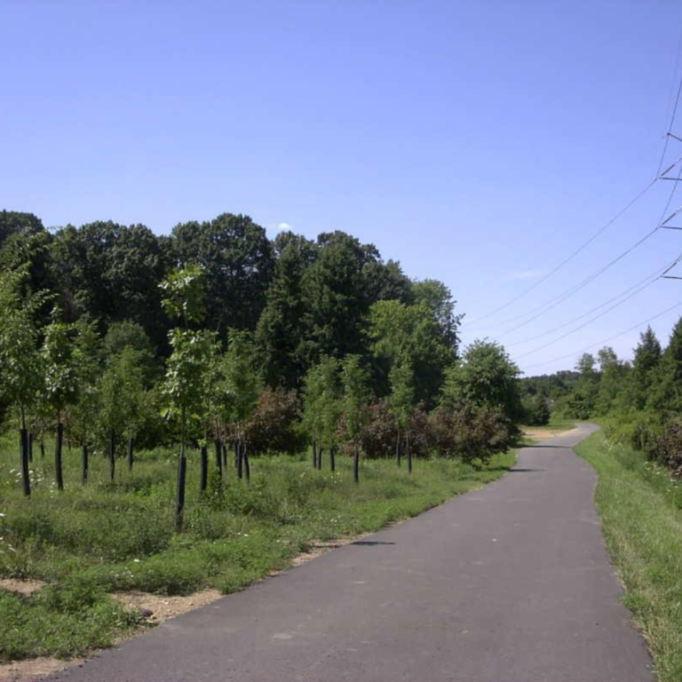 Horsham Powerline Trail